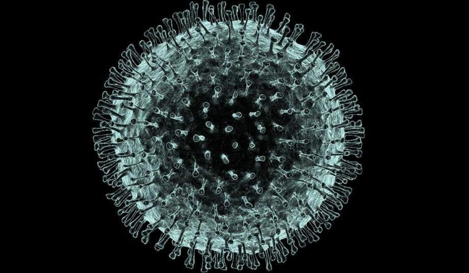 冠状病毒图像